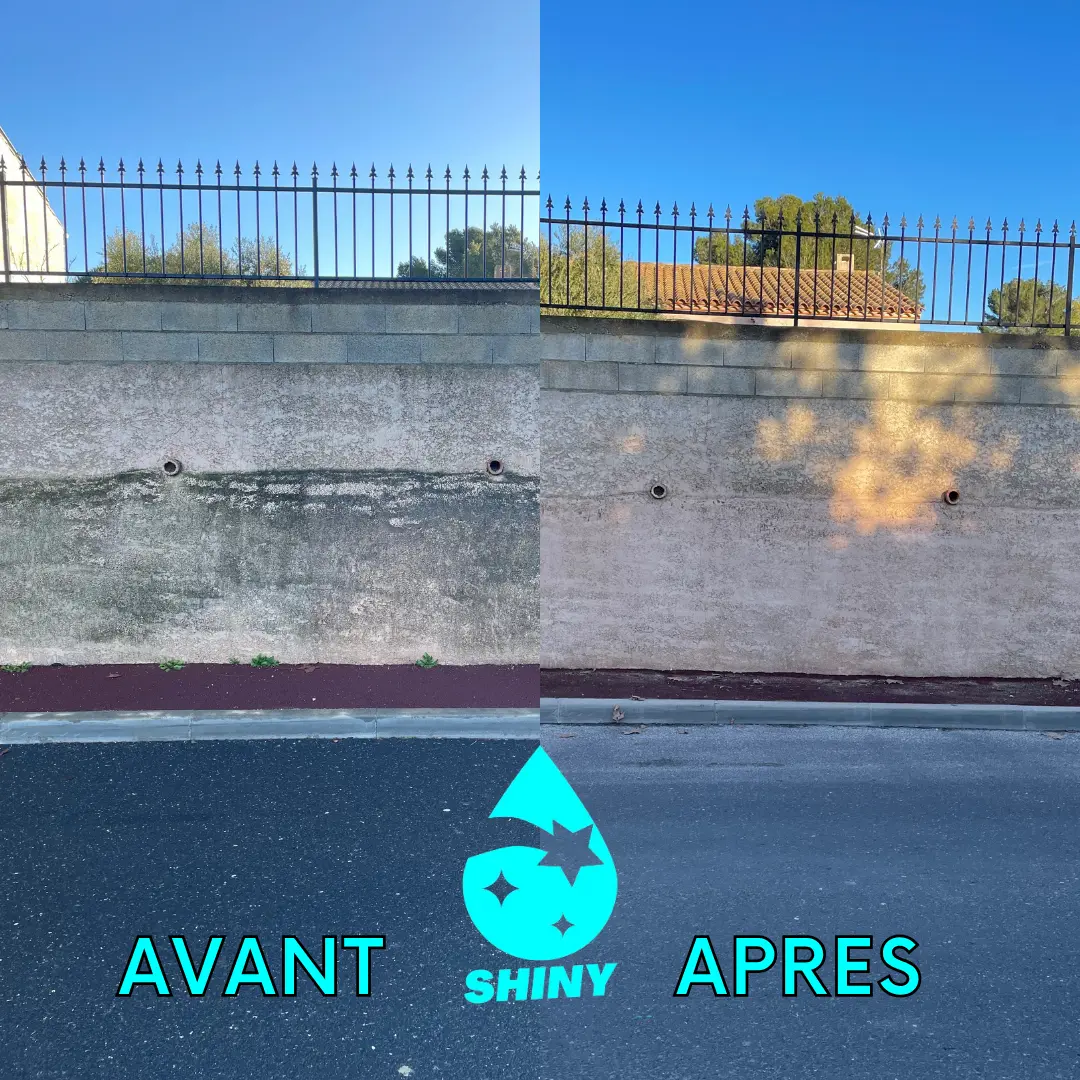 Voir plus